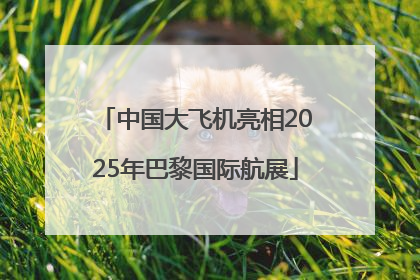 中国大飞机亮相2025年巴黎国际航展