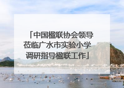 中国楹联协会领导莅临广水市实验小学调研指导楹联工作