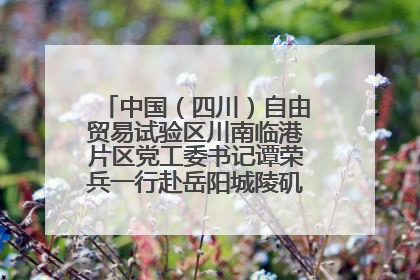 中国（四川）自由贸易试验区川南临港片区党工委书记谭荣兵一行赴岳阳城陵矶综保区考察