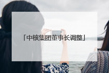 中核集团董事长调整