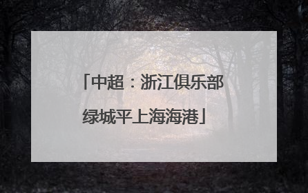 中超：浙江俱乐部绿城平上海海港