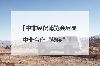 中非经贸博览会尽显中非合作“热度”