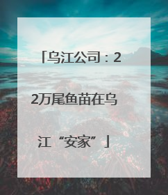 乌江公司：22万尾鱼苗在乌江“安家”