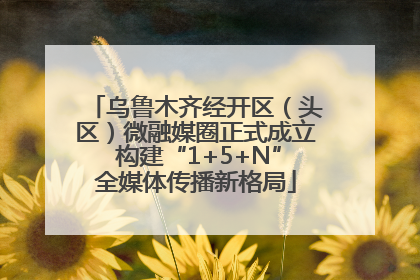 乌鲁木齐经开区（头区）微融媒圈正式成立 构建“1+5+N”全媒体传播新格局