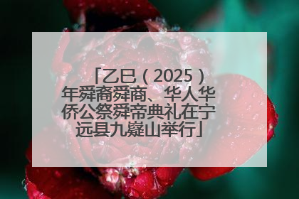 乙巳（2025）年舜裔舜商、华人华侨公祭舜帝典礼在宁远县九嶷山举行