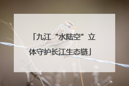 九江“水陆空”立体守护长江生态链