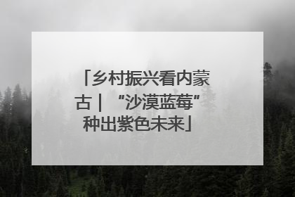 乡村振兴看内蒙古｜“沙漠蓝莓”种出紫色未来