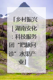 乡村振兴｜湖南安化：科技服务团“把脉问诊”水果产业