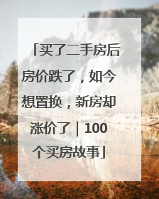 买了二手房后房价跌了，如今想置换，新房却涨价了｜100个买房故事