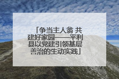 争当主人翁 共建好家园——平利县以党建引领基层善治的生动实践