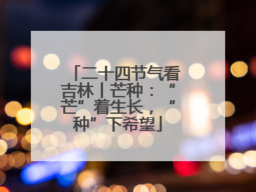 二十四节气看吉林丨芒种：“芒”着生长，“种”下希望