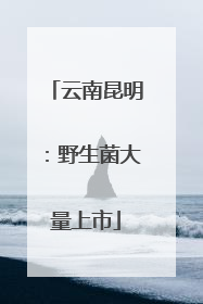 云南昆明：野生菌大量上市