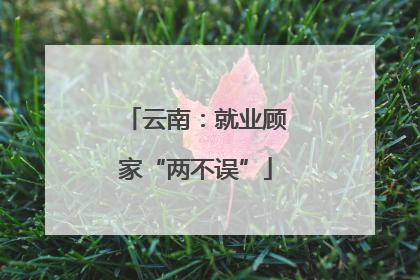 云南：就业顾家“两不误”