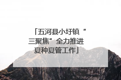 五河县小圩镇“三聚焦”全力推进夏种夏管工作