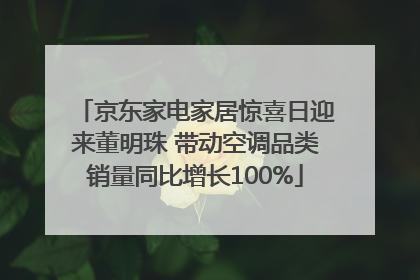 京东家电家居惊喜日迎来董明珠 带动空调品类销量同比增长100%