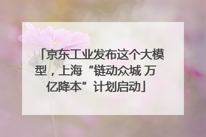 京东工业发布这个大模型，上海“链动众城 万亿降本”计划启动