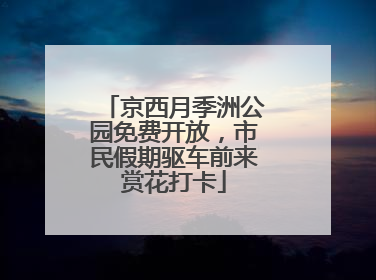 京西月季洲公园免费开放，市民假期驱车前来赏花打卡