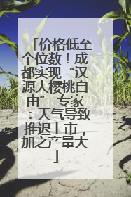 价格低至个位数！成都实现“汉源大樱桃自由” 专家：天气导致推迟上市，加之产量大