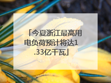 今夏浙江最高用电负荷预计将达1.33亿千瓦