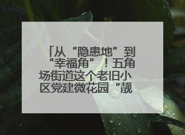 从“隐患地”到“幸福角”！五角场街道这个老旧小区党建微花园“靓”出幸福新图景