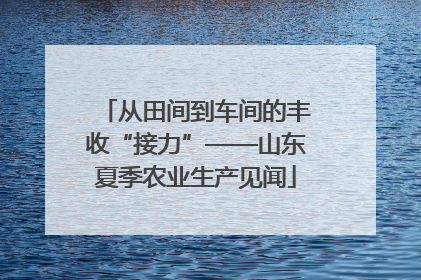 从田间到车间的丰收“接力”——山东夏季农业生产见闻