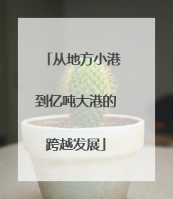 从地方小港到亿吨大港的跨越发展