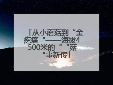 从小蘑菇到“金疙瘩“——海拔4500米的““菇“事新传