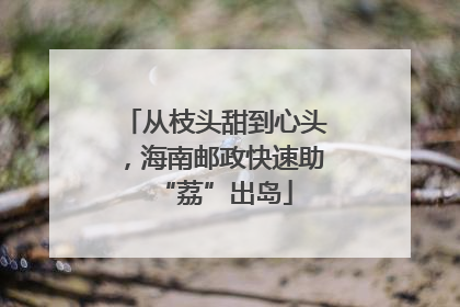 从枝头甜到心头，海南邮政快速助“荔”出岛