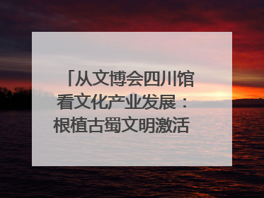 从文博会四川馆看文化产业发展：根植古蜀文明激活创新基因｜文博向“新”
