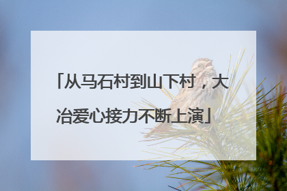 从马石村到山下村，大冶爱心接力不断上演