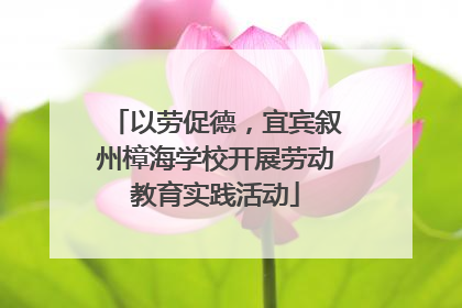 以劳促德，宜宾叙州樟海学校开展劳动教育实践活动