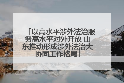 以高水平涉外法治服务高水平对外开放 山东推动形成涉外法治大协同工作格局