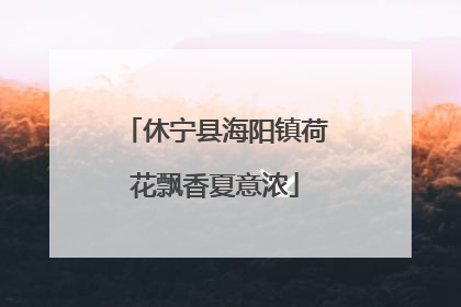 休宁县海阳镇荷花飘香夏意浓