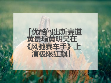 优酷闯出新赛道 黄景瑜黄明昊在《风驰赛车手》上演极限狂飙