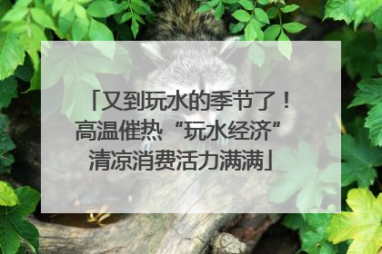 又到玩水的季节了！高温催热“玩水经济” 清凉消费活力满满