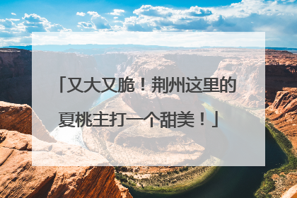 又大又脆！荆州这里的夏桃主打一个甜美！