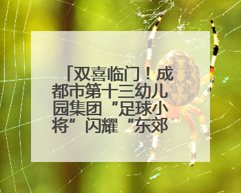双喜临门！成都市第十三幼儿园集团“足球小将”闪耀“东郊杯”