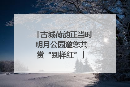 古城荷韵正当时 明月公园邀您共赏“别样红”