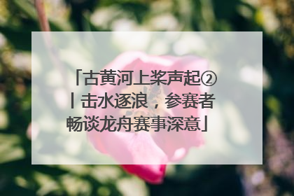 古黄河上桨声起②丨击水逐浪，参赛者畅谈龙舟赛事深意