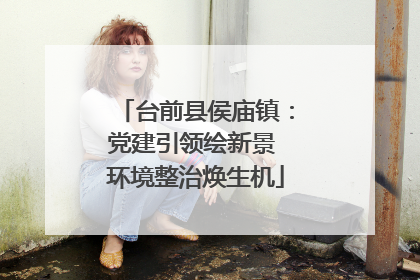 台前县侯庙镇：党建引领绘新景 环境整治焕生机