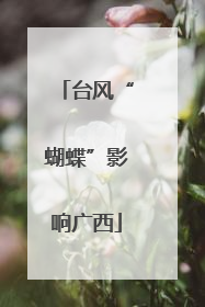 台风“蝴蝶”影响广西