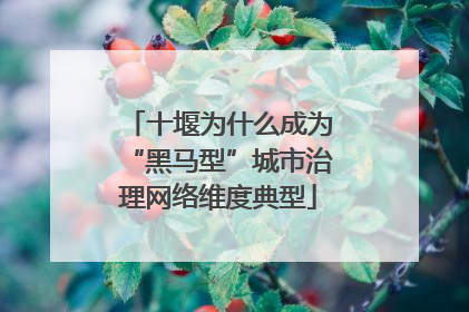 十堰为什么成为“黑马型”城市治理网络维度典型