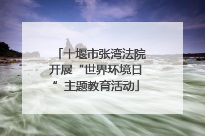 十堰市张湾法院开展“世界环境日”主题教育活动
