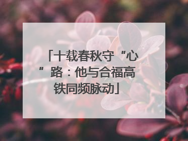 十载春秋守“心”路：他与合福高铁同频脉动
