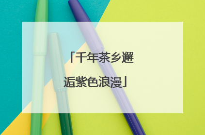 千年茶乡邂逅紫色浪漫