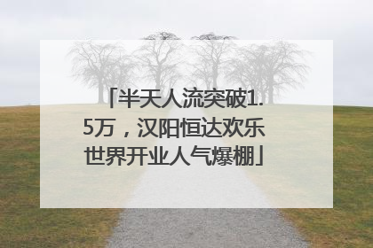 半天人流突破1.5万，汉阳恒达欢乐世界开业人气爆棚