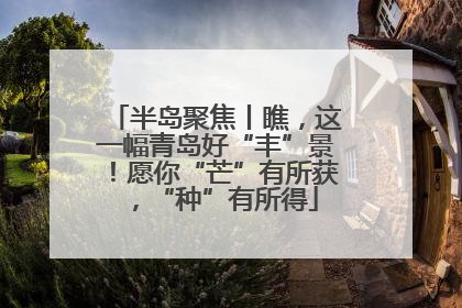 半岛聚焦丨瞧，这一幅青岛好“丰”景！愿你“芒”有所获，“种”有所得