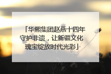 华熙集团赵燕十四年守护非遗，让新疆文化瑰宝绽放时代光彩