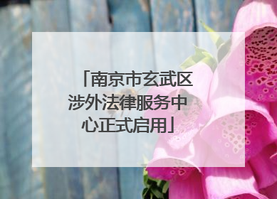 南京市玄武区涉外法律服务中心正式启用