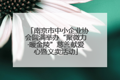 南京市中小企业协会圆满举办“聚微力·暖金陵”慈善献爱心暨义卖活动